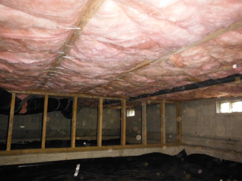 Blaine Crawlspace Cleanup