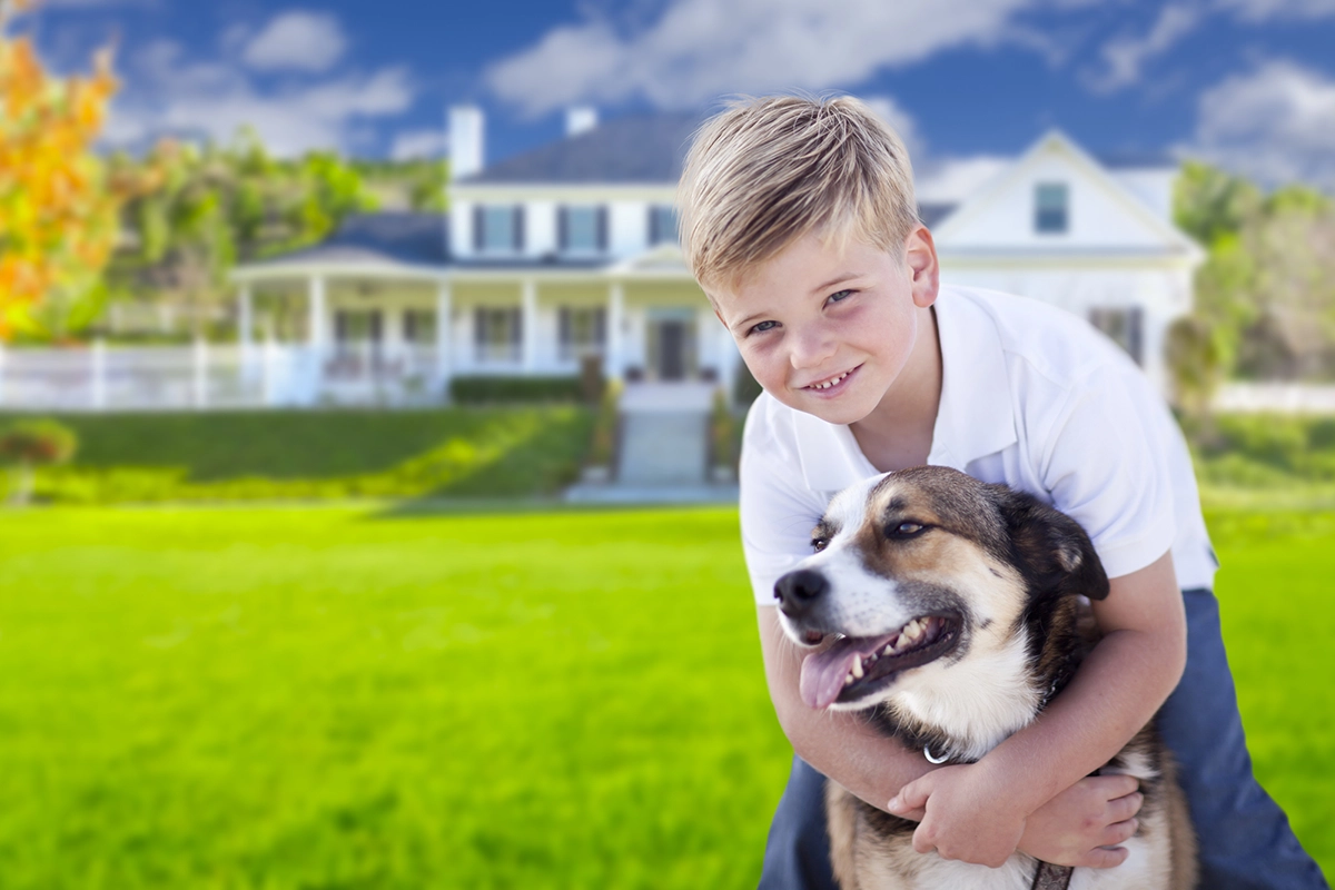 Can I Get Rid of a Flea Infestation Myself?